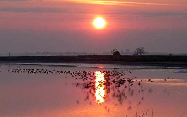 Neusiedlersee Seewinkel