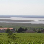 Der südliche Teil des Neusiedlersees