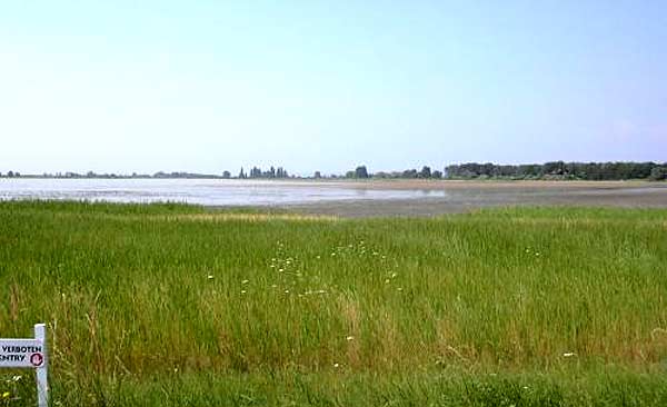 Westseite der Lacke - etwa von Norden nach Süden aufgenommen